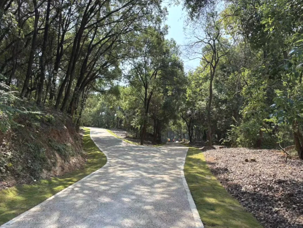 1761882404198174.png image.png