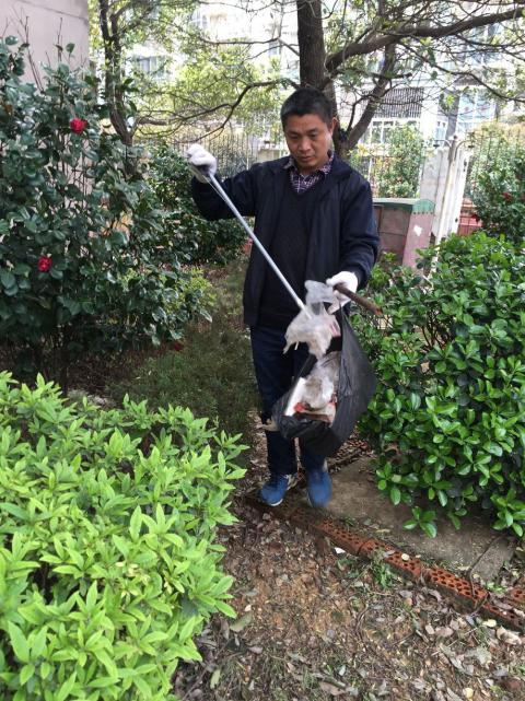 控制鼠害、預(yù)防疾病，構(gòu)建和諧文明社區(qū)